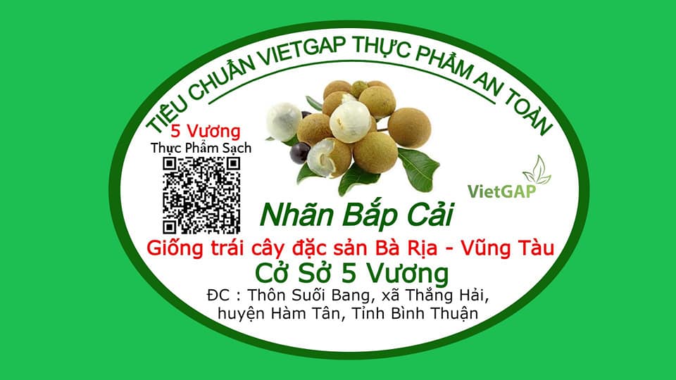 cơ sở Nhãn Bắp Cải Năm Vương Suối Bang