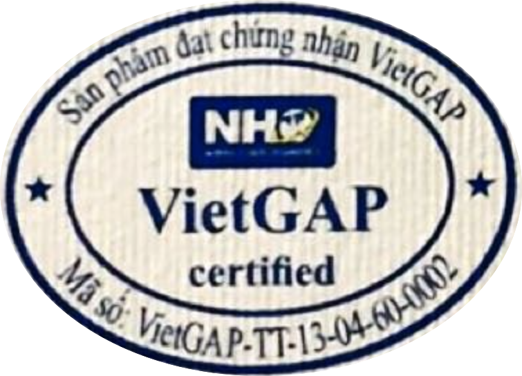 Chứng nhận chuẩn Việt Gắp sản phẩm nhãn bắp cải